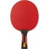 Ракетка для н/т DOUBLE FISH 7A+C, для професс.,ITTF Appr.,накл.2,1мм,+ 2 мяча V40+мм ITTF Appr за 3&nbsp;559.80 ₽ купить в Оренбурге