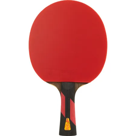 Ракетка для н/т DOUBLE FISH 7A+C, для професс.,ITTF Appr.,накл.2,1мм,+ 2 мяча V40+мм ITTF Appr за 3&nbsp;559.80 ₽ купить в Оренбурге