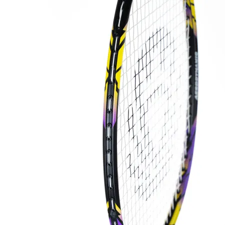 Ракетка бадм. TORRES Carbon PRO6, BD20521,для продв., стерж/обод из карбона,со струнами, фиол за 4&nbsp;477.80 ₽ купить в Оренбурге