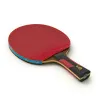 Ракетка для н/т DOUBLE FISH 7A+C, для професс.,ITTF Appr.,накл.2,1мм,+ 2 мяча V40+мм ITTF Appr за 3&nbsp;559.80 ₽ купить в Оренбурге