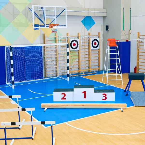 Щит для метания навесной на шведскую стенку (фанера) 700х700 ZAVODSPORTA за 8&nbsp;960 ₽ в Оренбурге