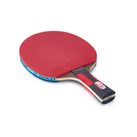 Ракетка для н/т DOUBLE FISH CK-208, для любителй, ITTF,наклад. 2,2 мм, конич. ручка + сумка-чехол за 2&nbsp;004.30 ₽ купить в Оренбурге